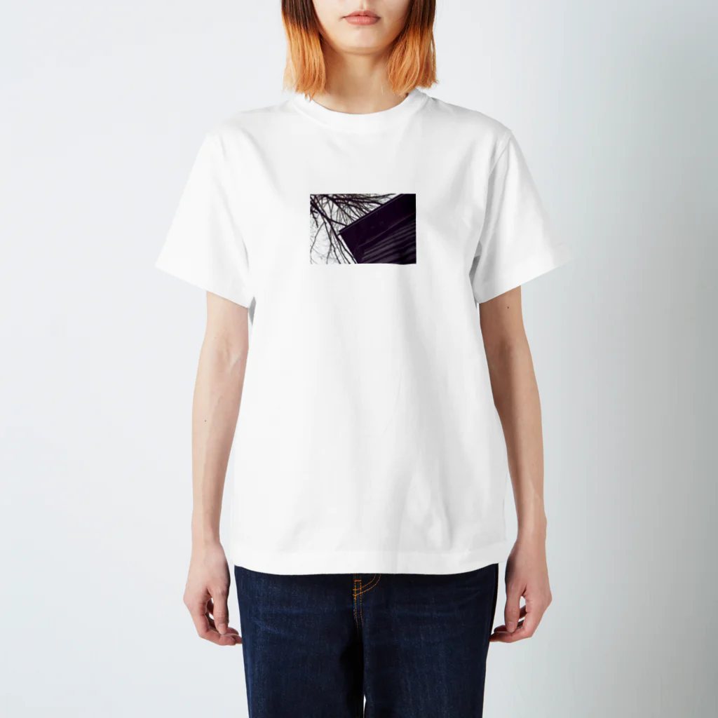 kaw800のmy photo スタンダードTシャツ