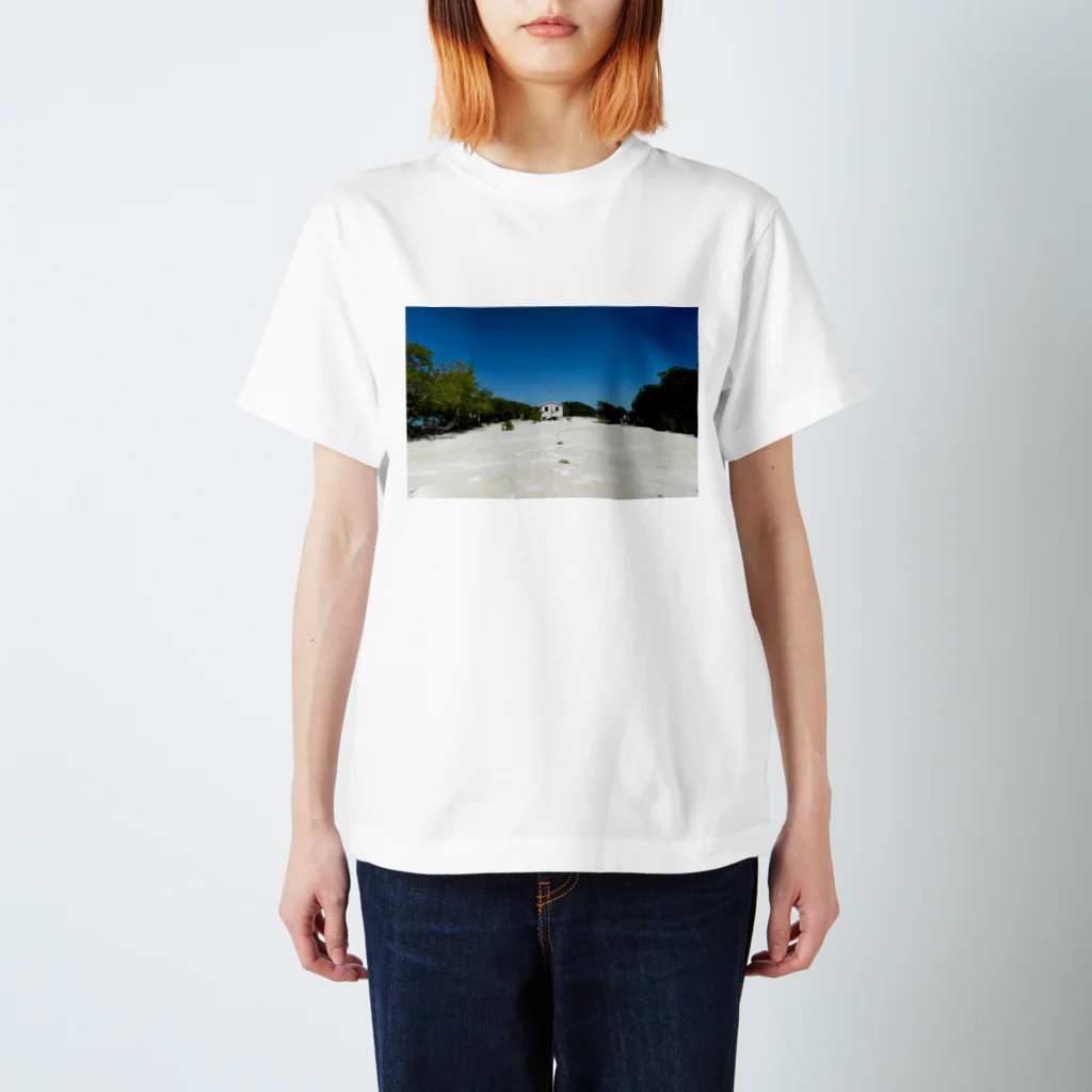 relaxmax on the roadのSomewhere beautiful  スタンダードTシャツ