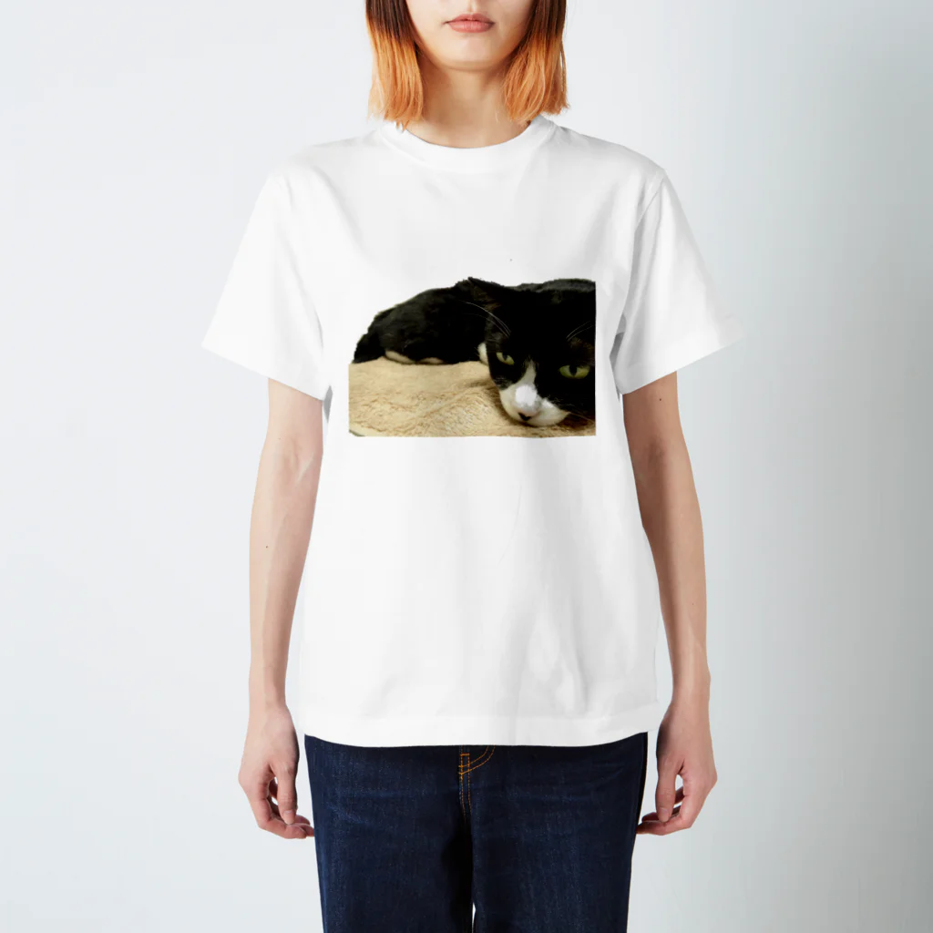 小招猫 is Fukuronekoのじと目のお猫様 スタンダードTシャツ
