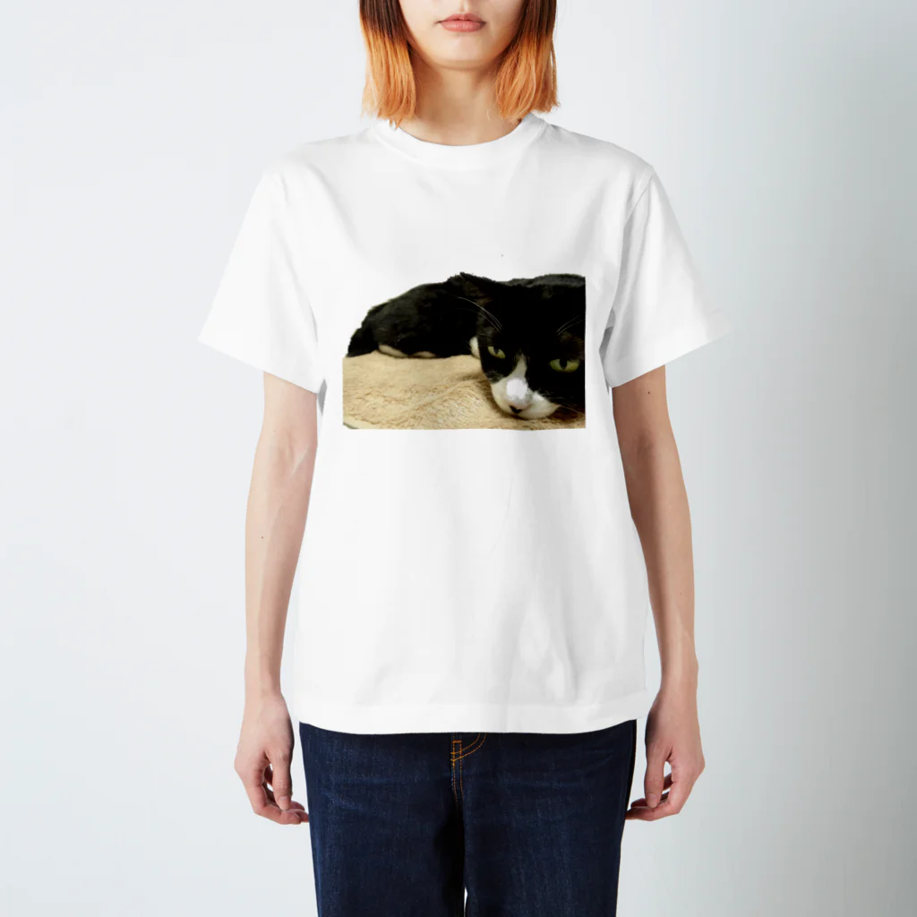 小招猫 is Fukuronekoのじと目のお猫様 Regular Fit T-Shirt