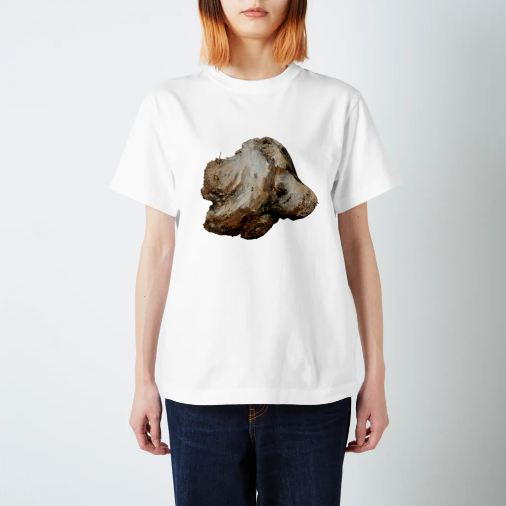 Yusuke Saitohの流木 Regular Fit T-Shirt
