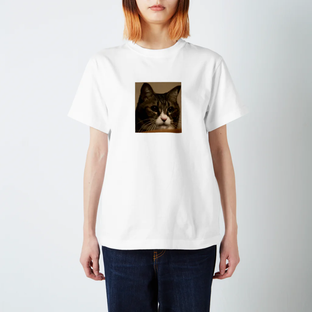 ABUJUNの猫のゴロ君   スタンダードTシャツ