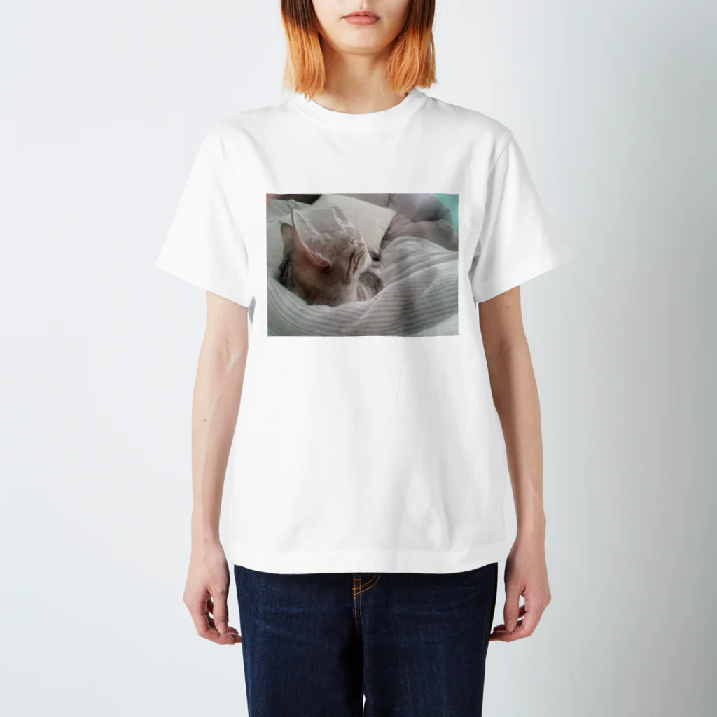 rikkyo_lgbtnizaのねこ Regular Fit T-Shirt