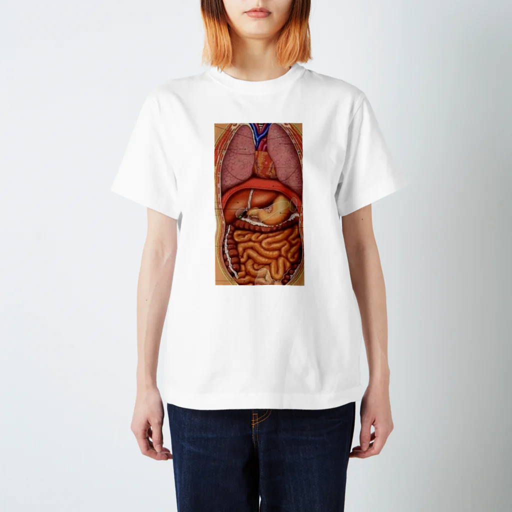 Liarのmodel of the human body  Regular Fit T-Shirt