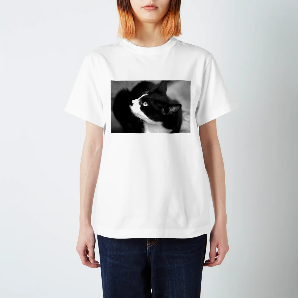 坂本の野良猫 スタンダードTシャツ