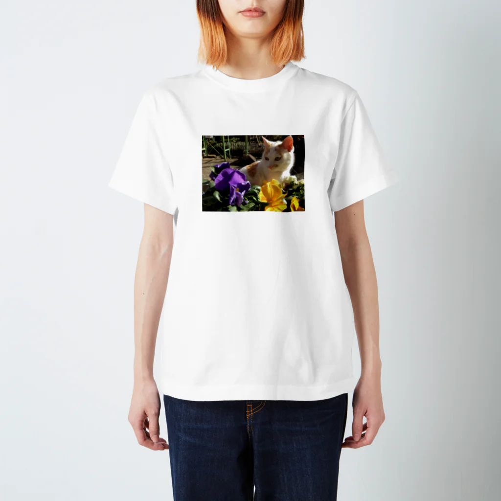 チャロスナのちゃろ Regular Fit T-Shirt