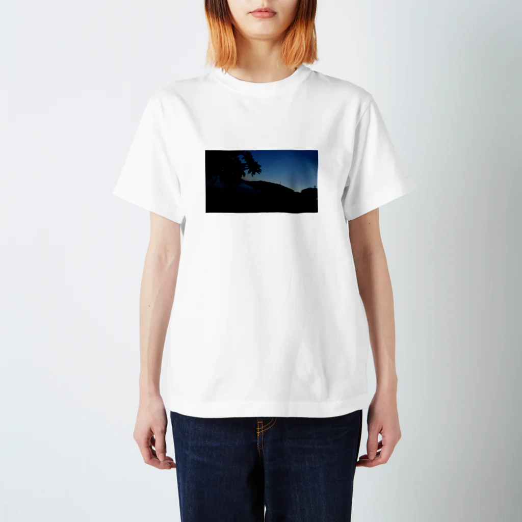 Funaの写真 スタンダードTシャツ