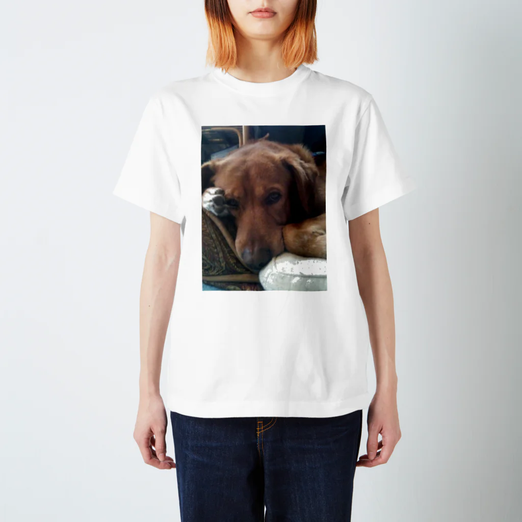 アマリリスあっこのビビり犬  ふ〜ちゃん スタンダードTシャツ