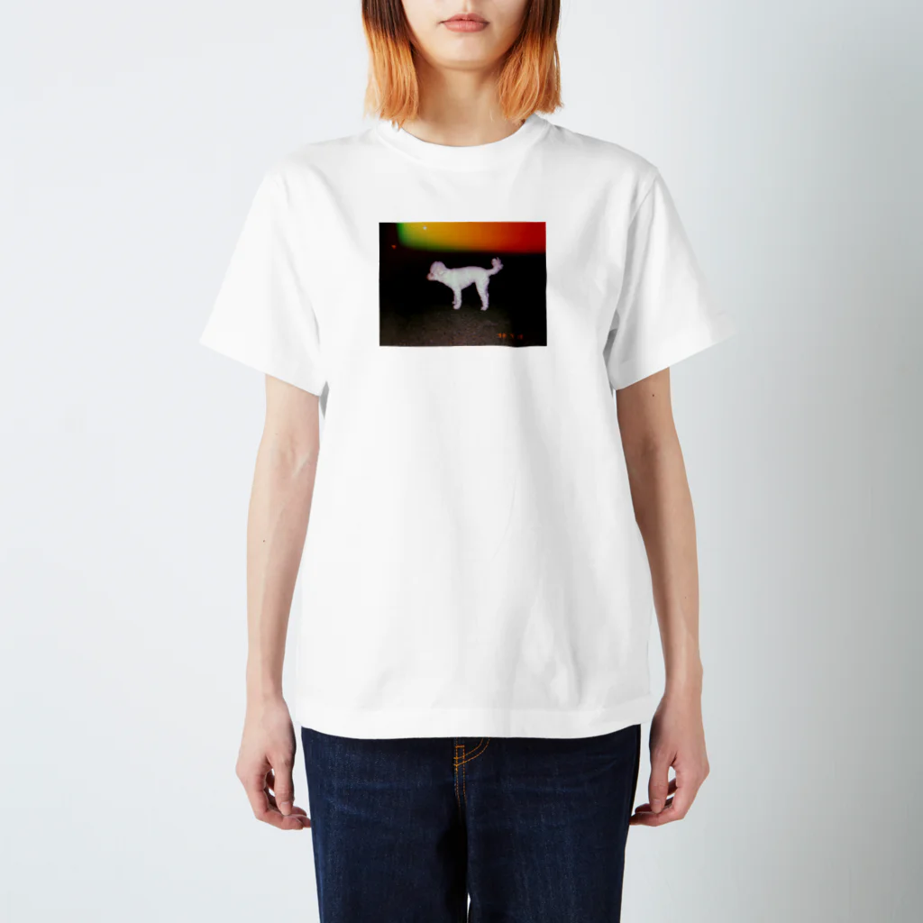 okuyamarketの愛犬 スタンダードTシャツ