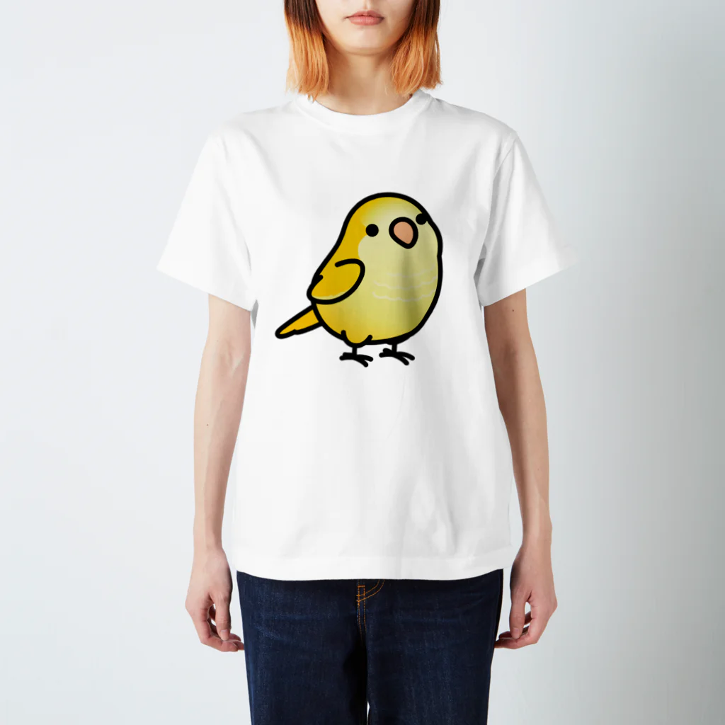 Cody the LovebirdのChubby Bird オキナインコ　イエロー スタンダードTシャツ