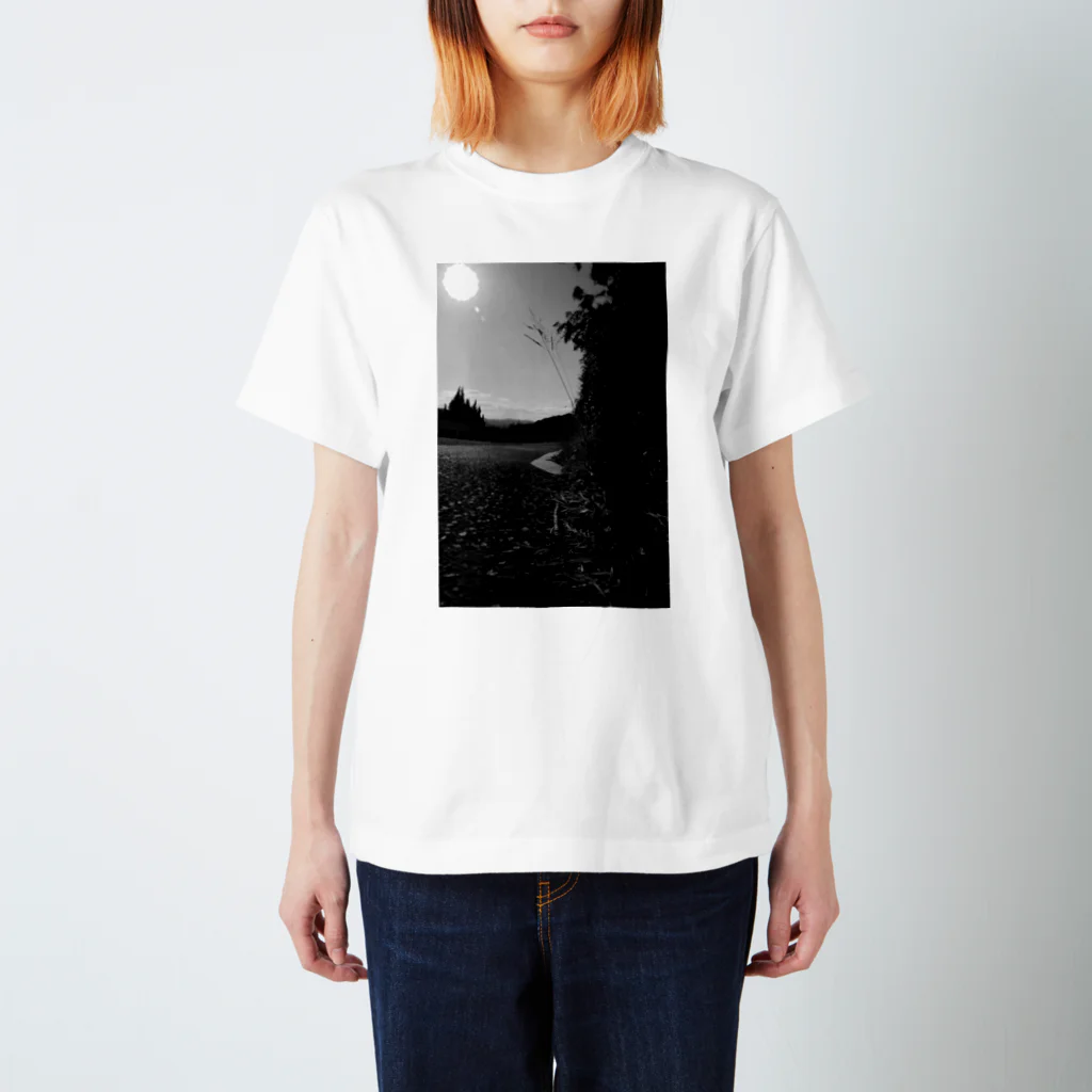 TAKUYA KUBO ISLAND PHOTOGRAPHYのネコ目線 スタンダードTシャツ