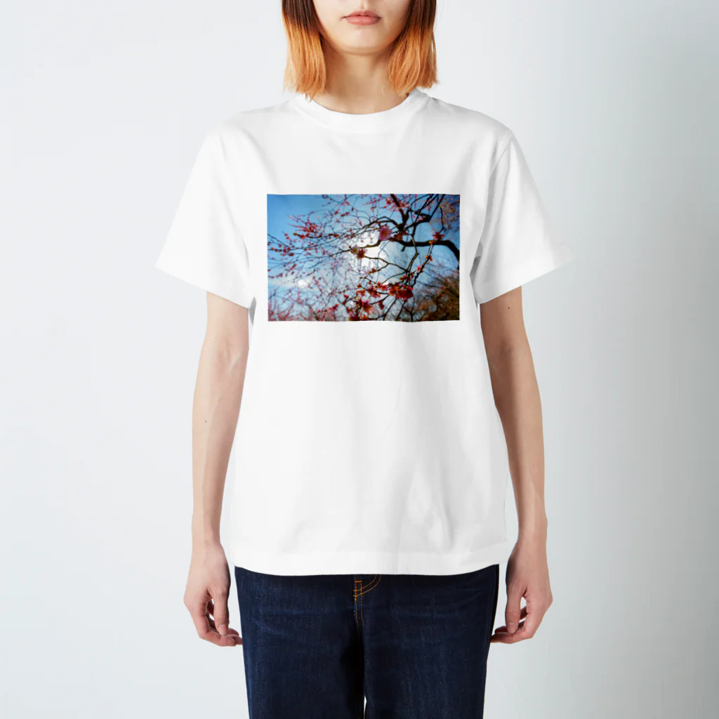 愚の骨頂の梅T Regular Fit T-Shirt