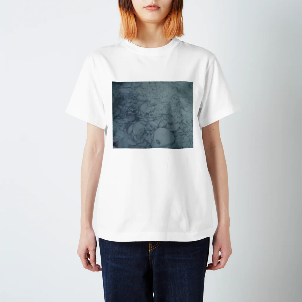 あーきぺらごarchipelagoの温泉析出物 Regular Fit T-Shirt