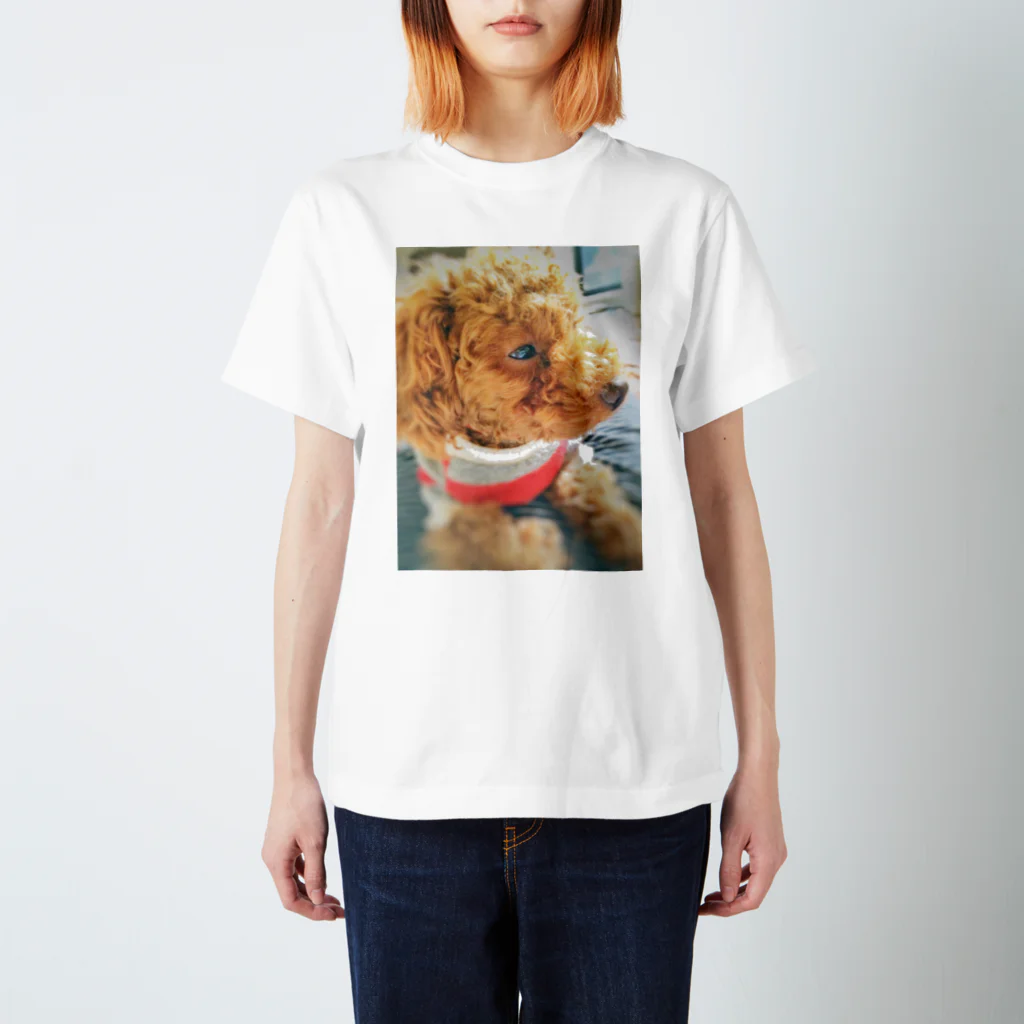 Happy Daysの木漏れ日の中の子犬 スタンダードTシャツ