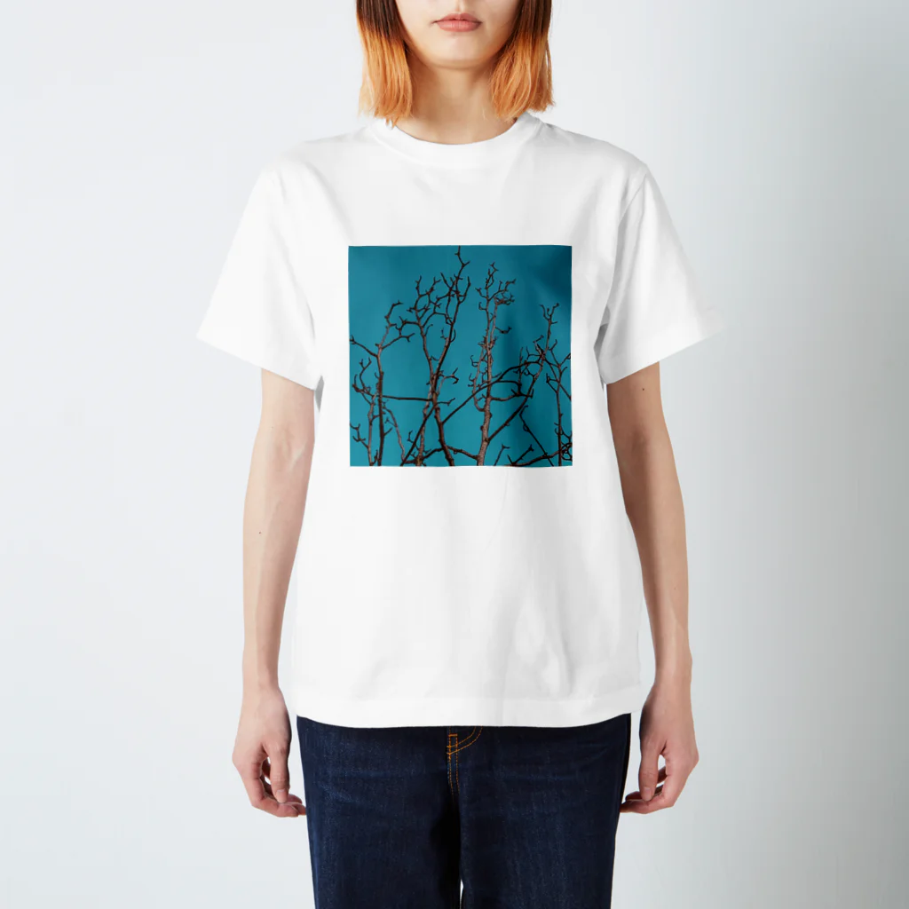 L_surrealのmokuren スタンダードTシャツ