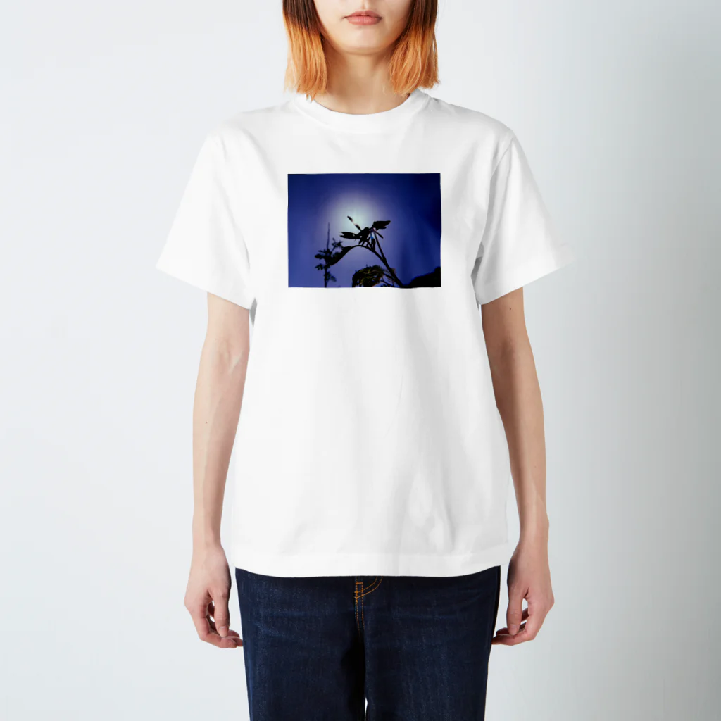 ほしの大地の恵み スタンダードTシャツ