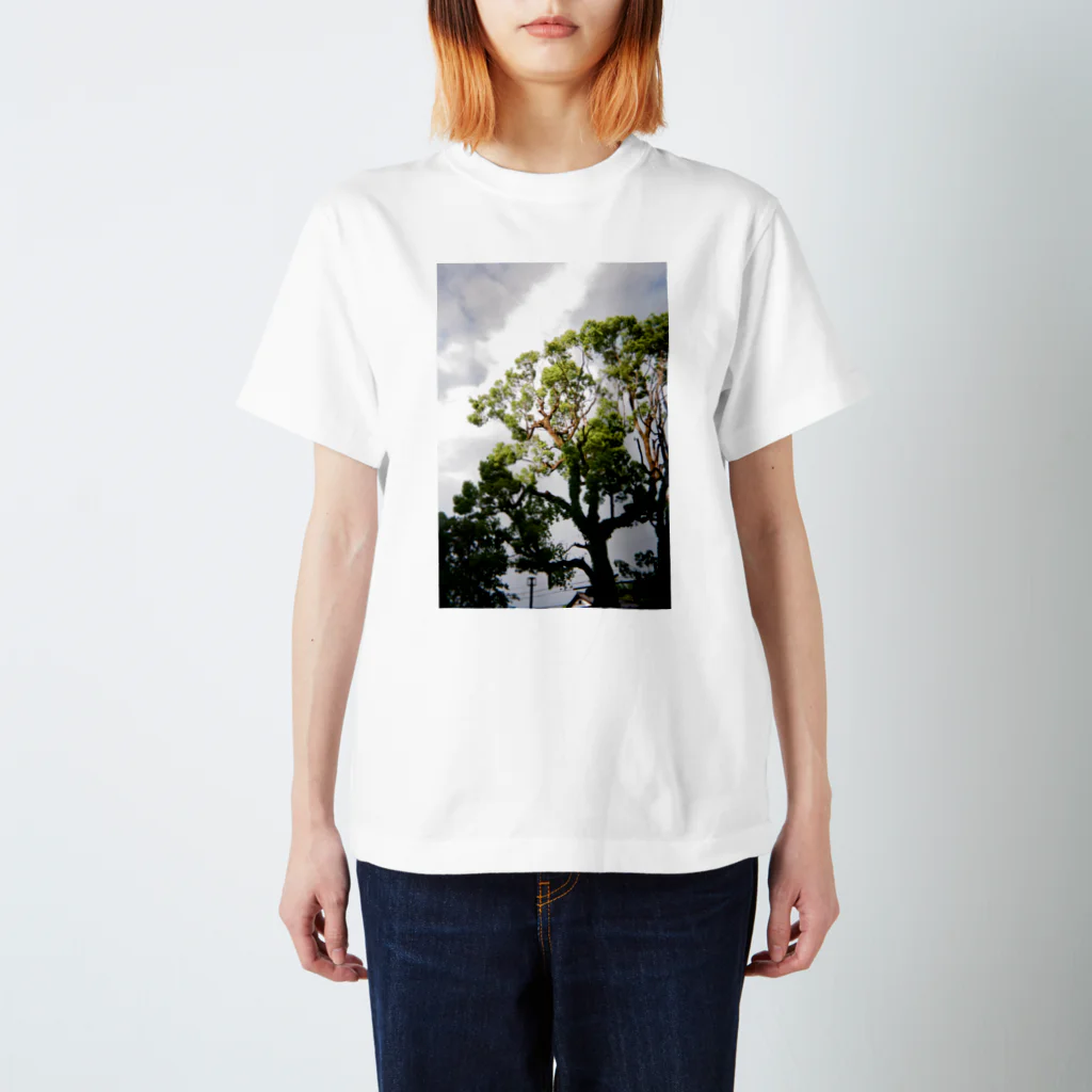 waa WORKSのtree スタンダードTシャツ