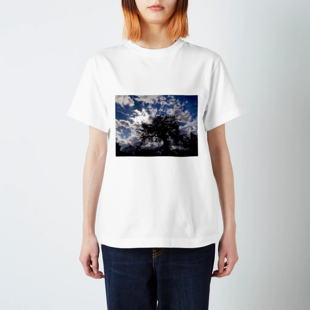 kagatoの桜[逆光] Regular Fit T-Shirt