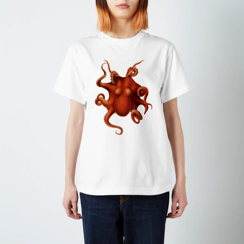 suess.のoctoct -Bilderbuch スタンダードTシャツ