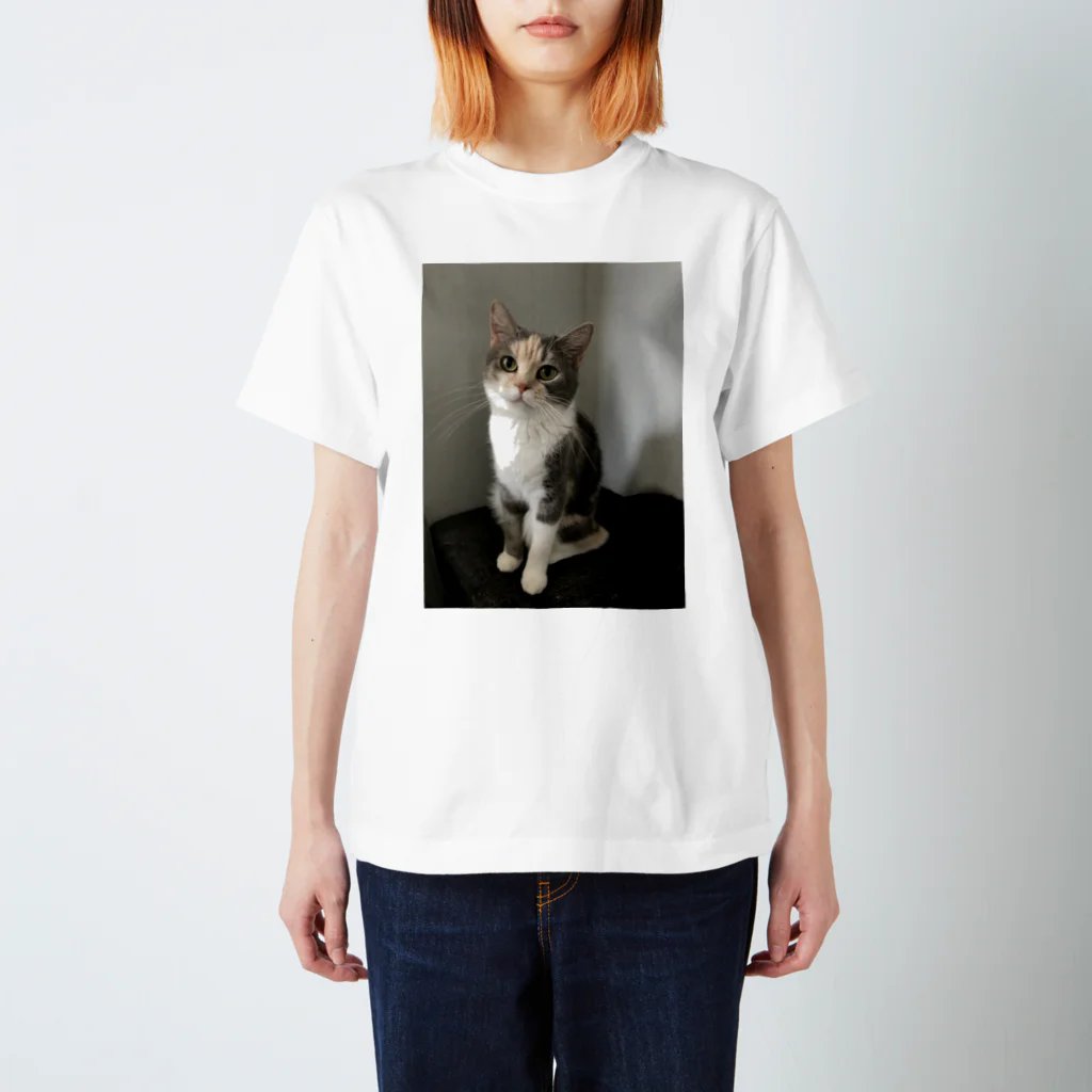 ネコまにあ 【12匹の猫➕うずら】のゆずちゃん Regular Fit T-Shirt