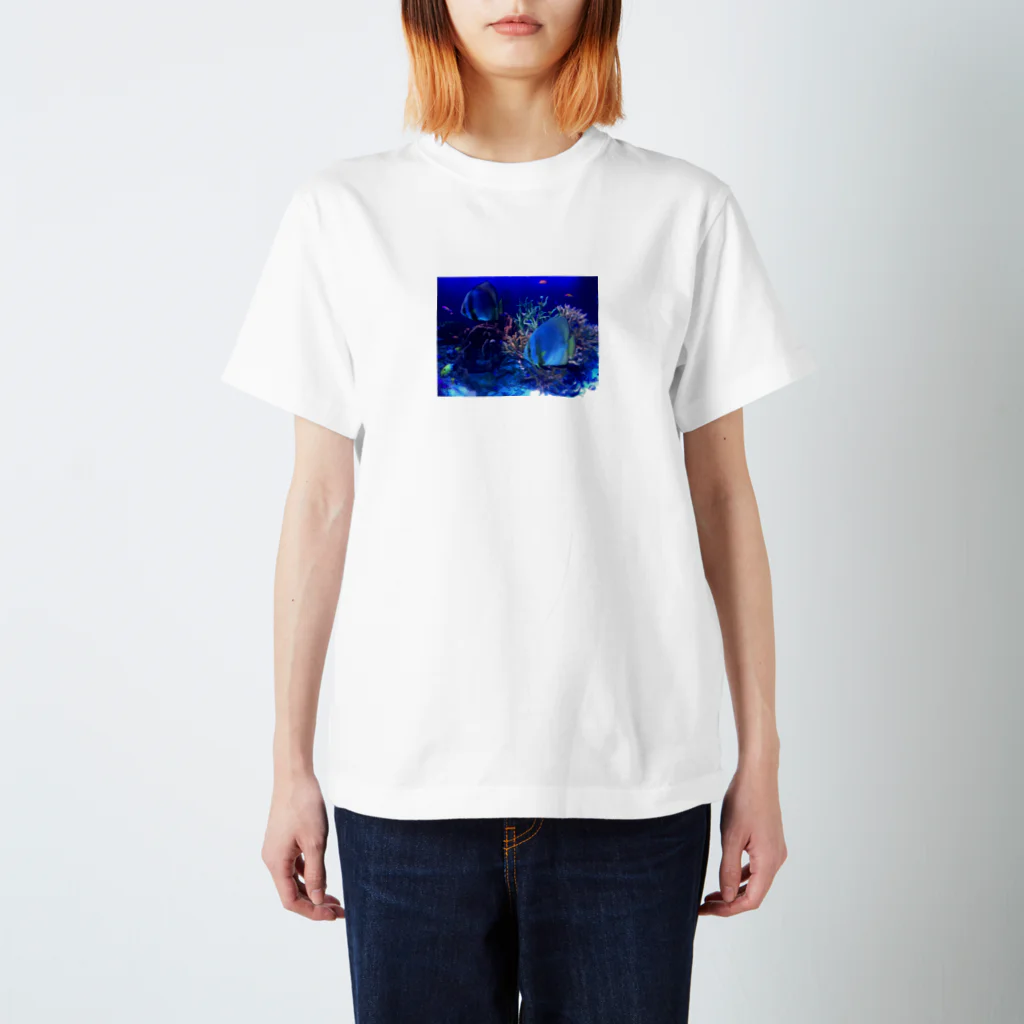 aoyoのおさかな スタンダードTシャツ