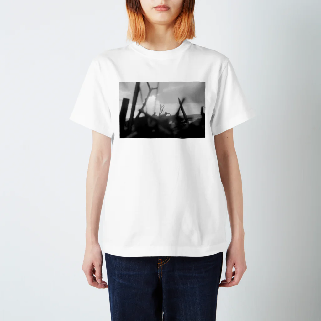 kio photo worksのEvening sea light スタンダードTシャツ