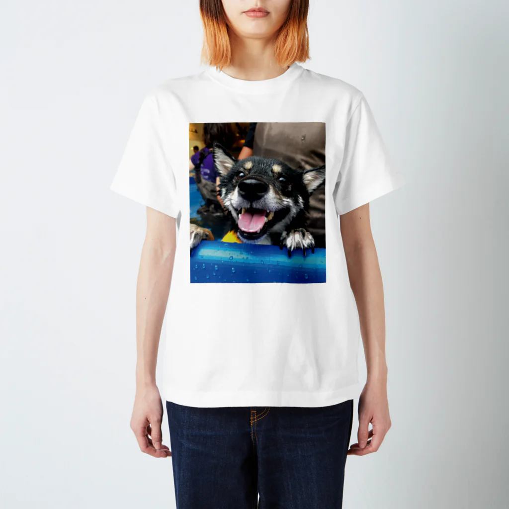 hilokiのShiba In The Pool  スタンダードTシャツ