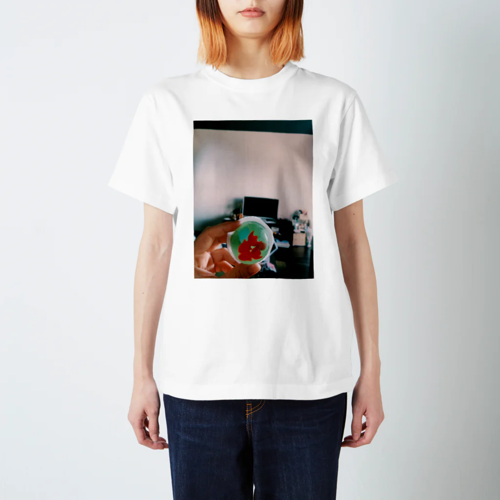 おそねの金魚 Regular Fit T-Shirt