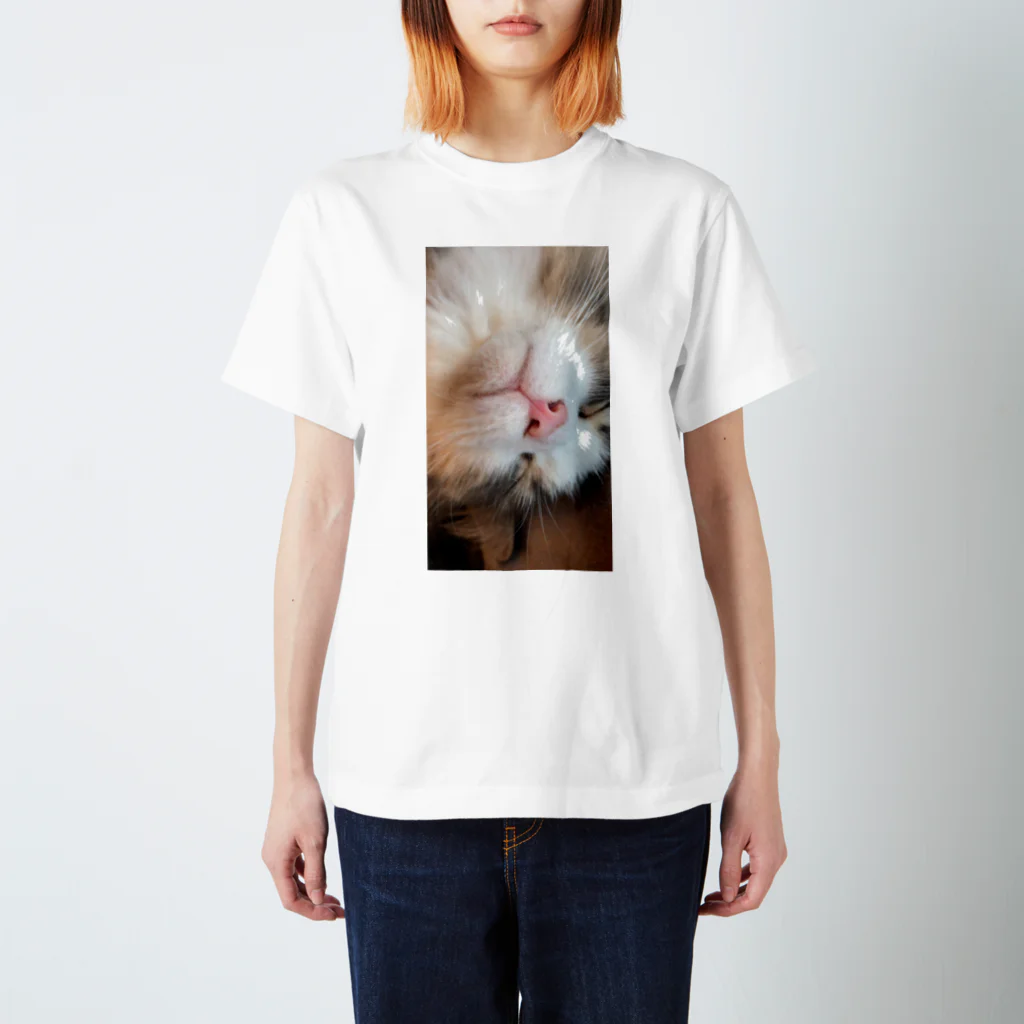 ちぇるの顔面猫 スタンダードTシャツ