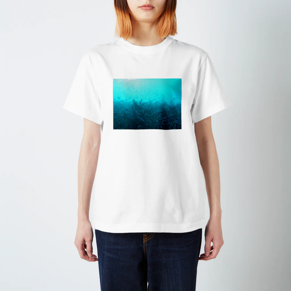 KOANANI GRAPHIC のFOREST Regular Fit T-Shirt