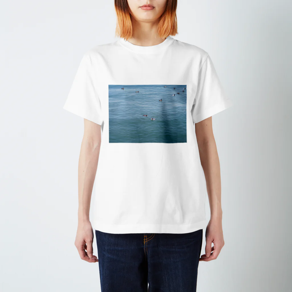 昨日の今日の横浜の海 スタンダードTシャツ