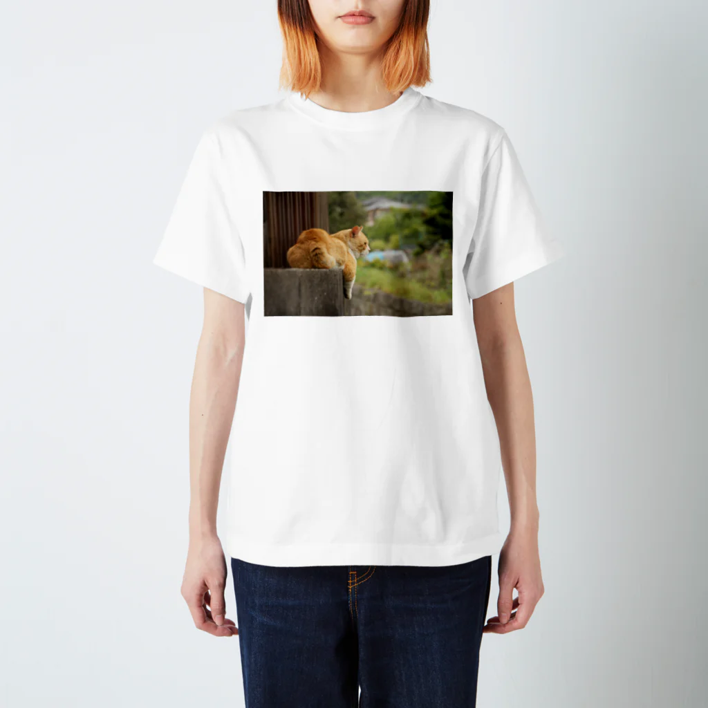 拓庵の夕涼み猫 ～黄昏～ スタンダードTシャツ