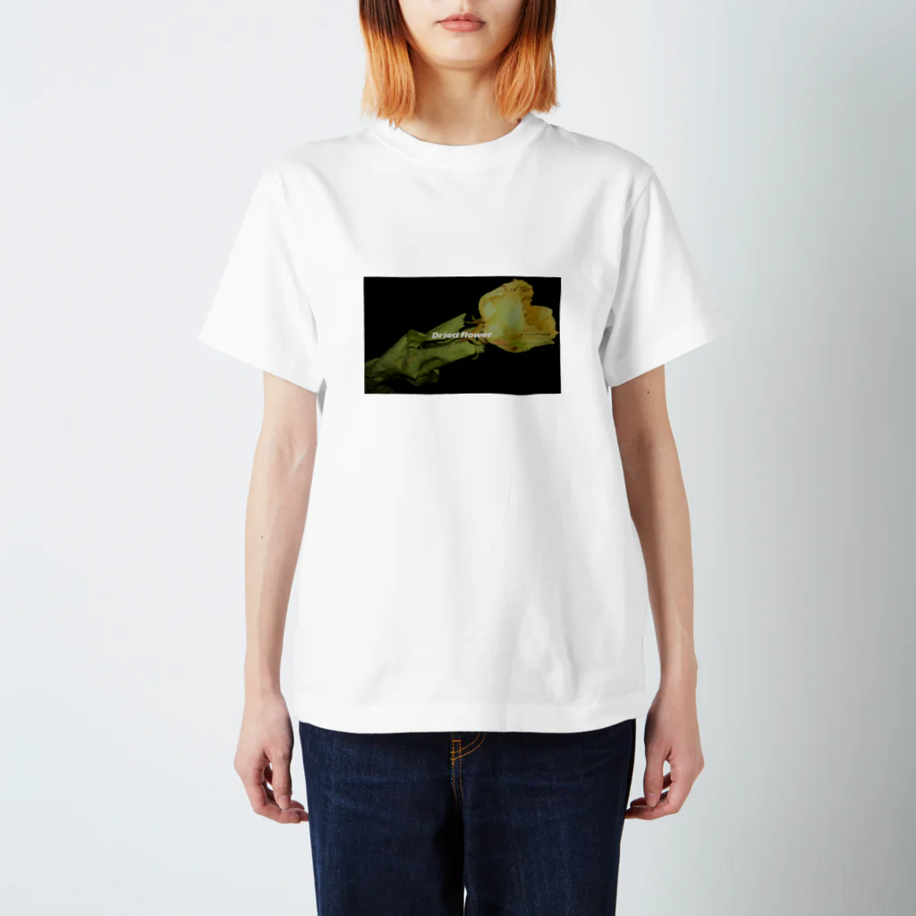 OHASHIのDried flower スタンダードTシャツ