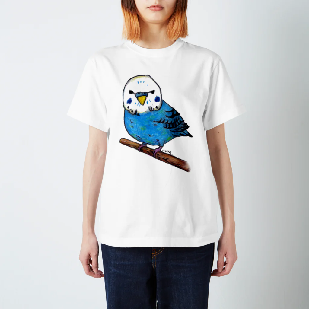 アコルのセキセイインコ Regular Fit T-Shirt