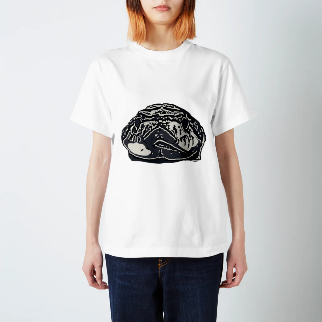 Tempura4444のWestern hognose snake スタンダードTシャツ