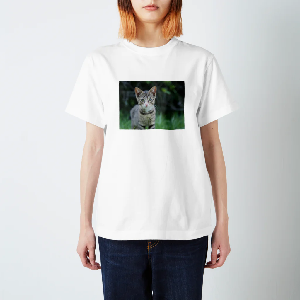 のら猫屋さんののら仔猫 Regular Fit T-Shirt