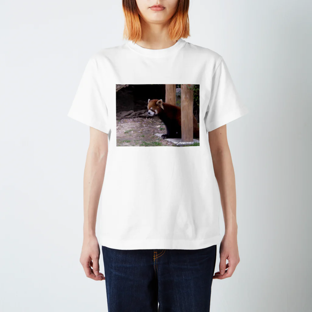 TシャツカンパニーのT-shirts for @p_chin スタンダードTシャツ