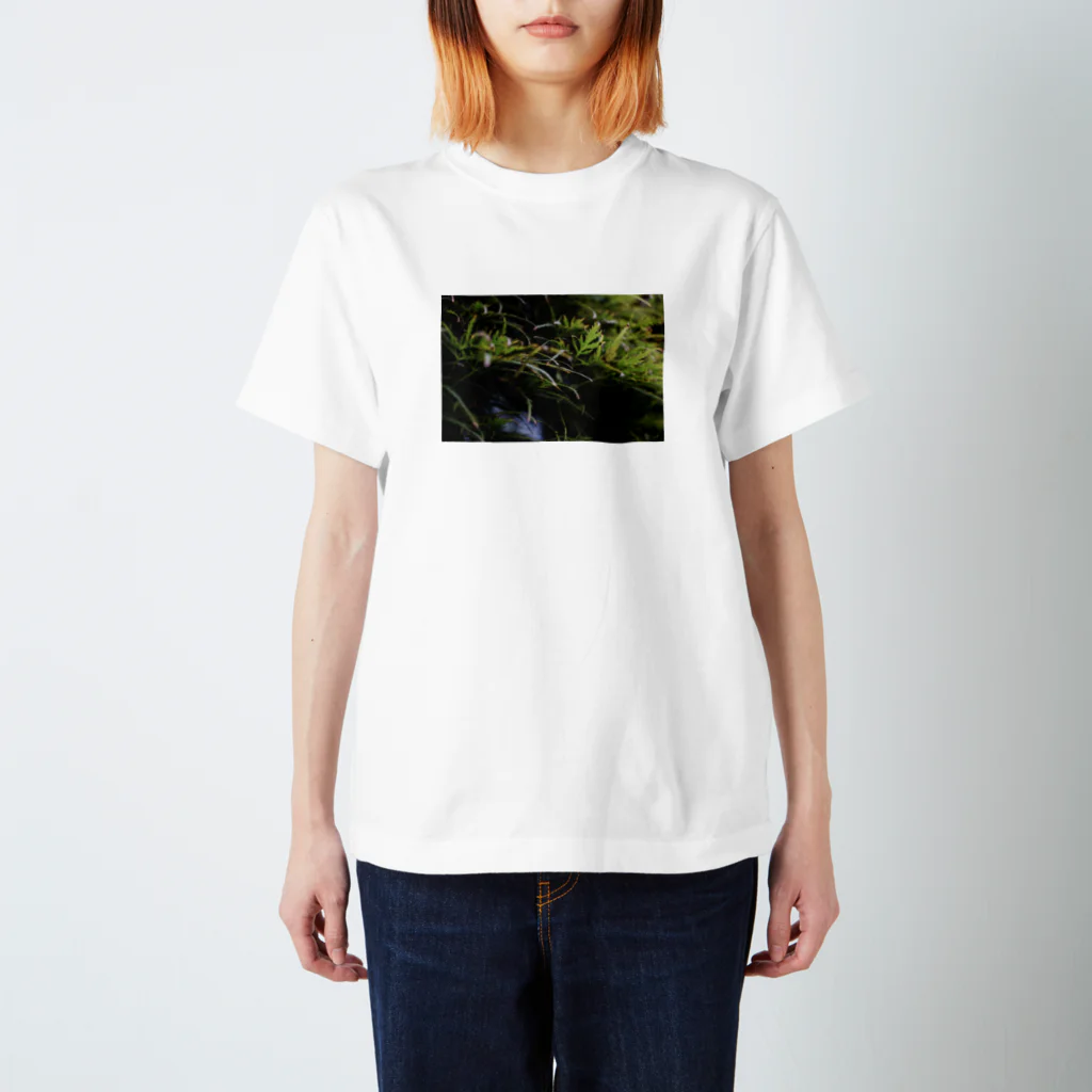 in your fragranceの草の匂い スタンダードTシャツ