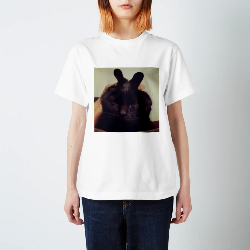 kotoringoのうさ林檎 Regular Fit T-Shirt