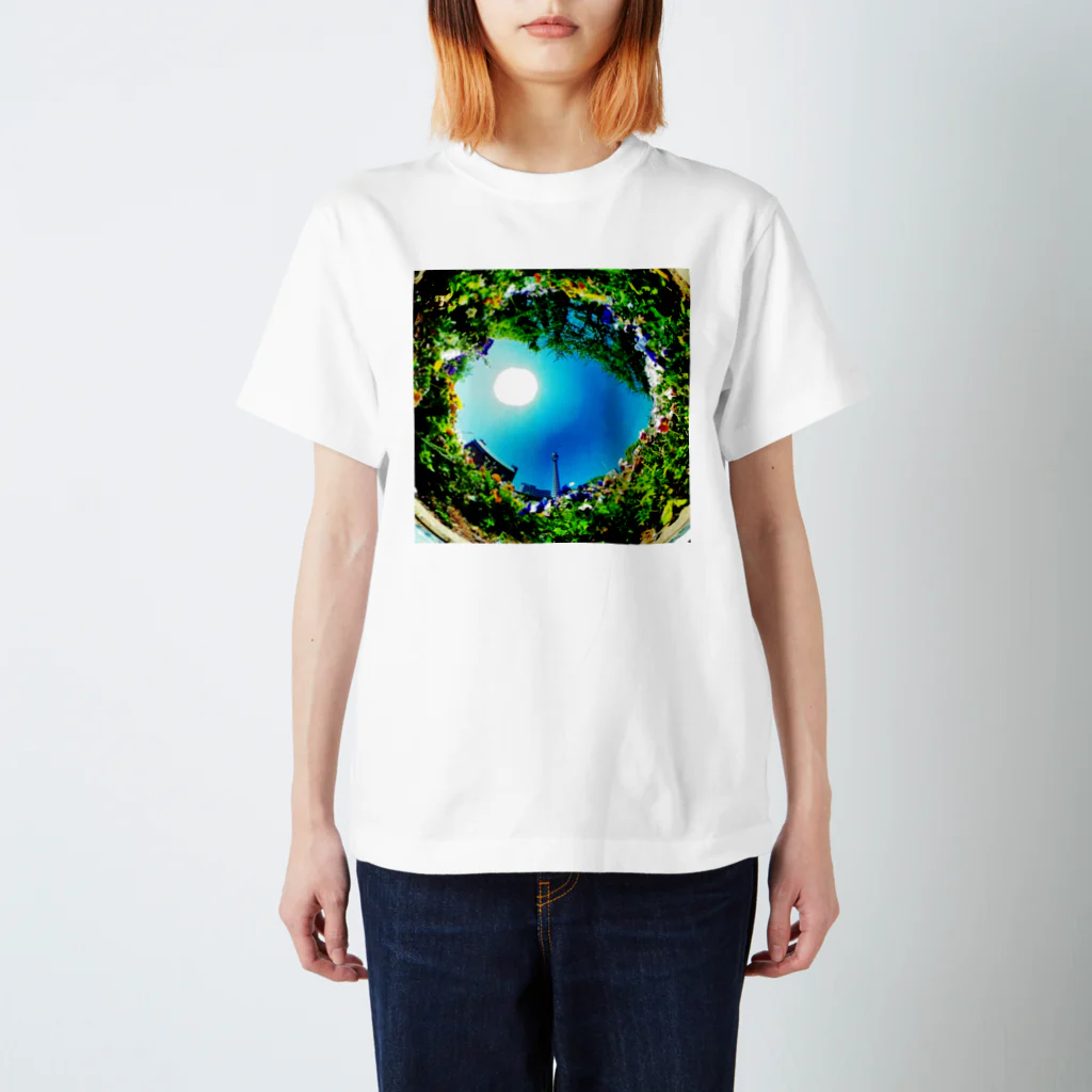 ANCの『view of Dwarf』 スタンダードTシャツ