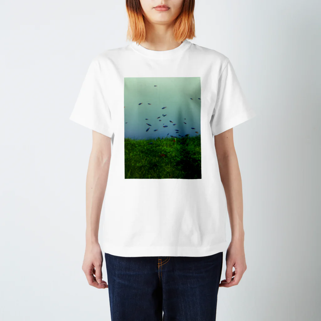 ゴロピカリのSUMIDA FISH Regular Fit T-Shirt