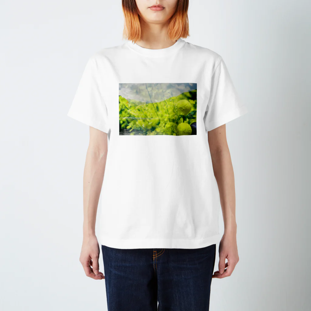 aoco27のきいろ Regular Fit T-Shirt