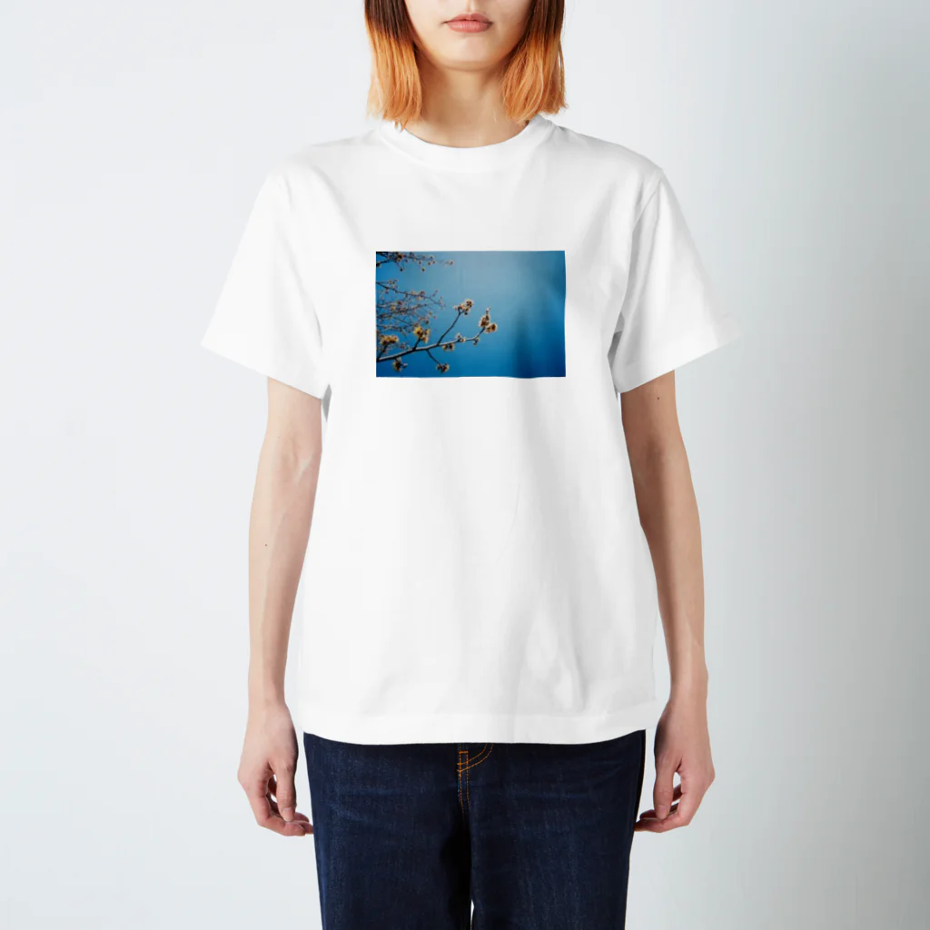 cozcozの春 見上げたら Regular Fit T-Shirt