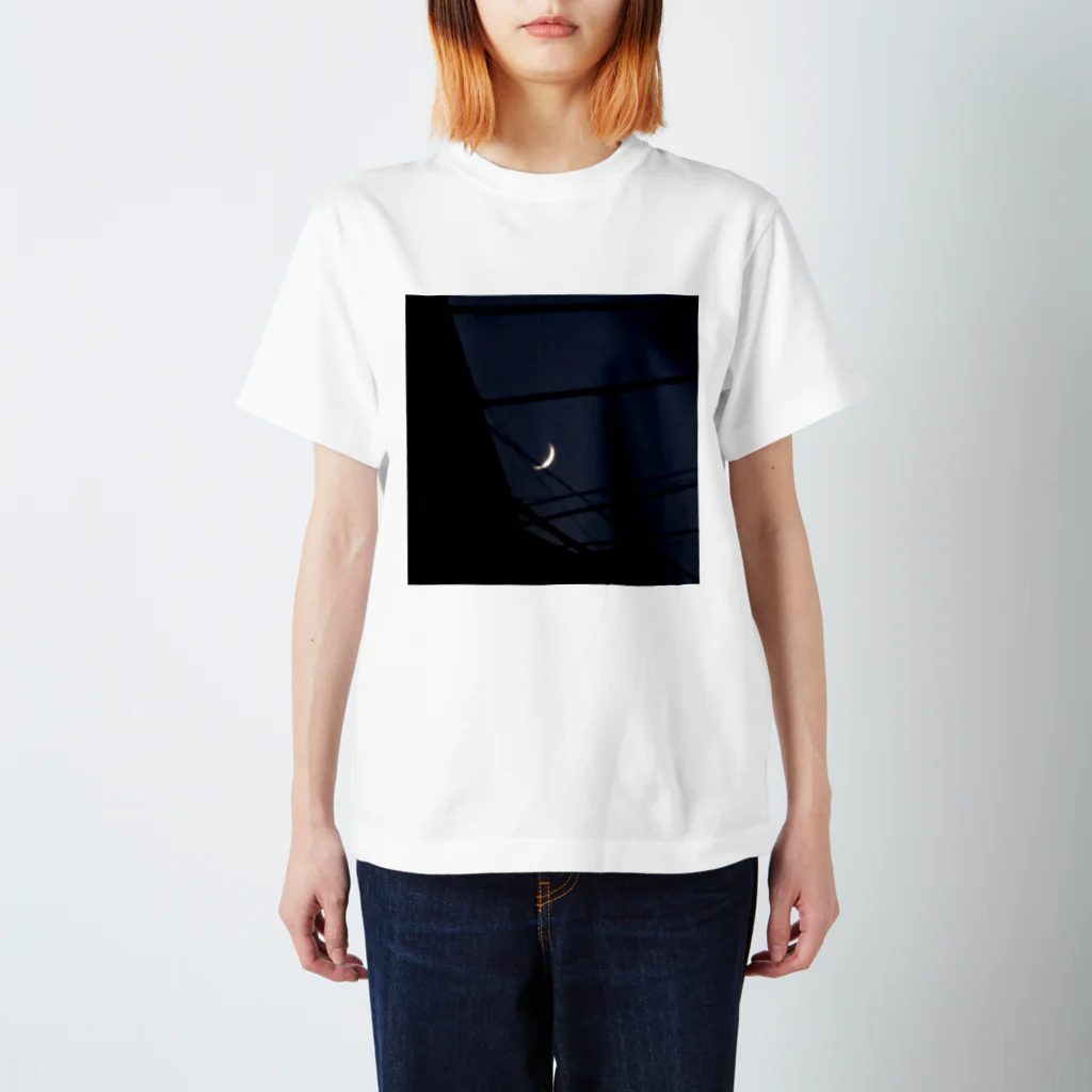 121_ailaのザラザラの月 Regular Fit T-Shirt