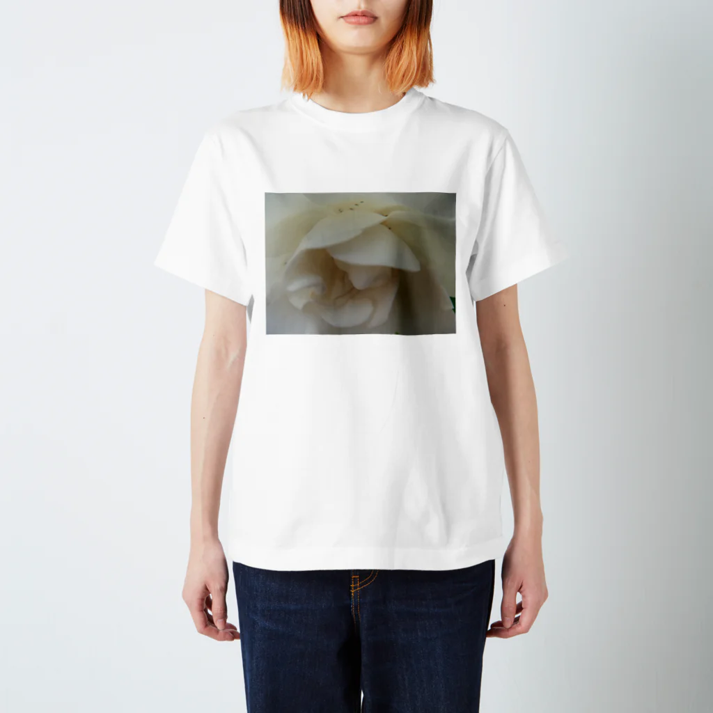 kokoroの薔薇 Regular Fit T-Shirt