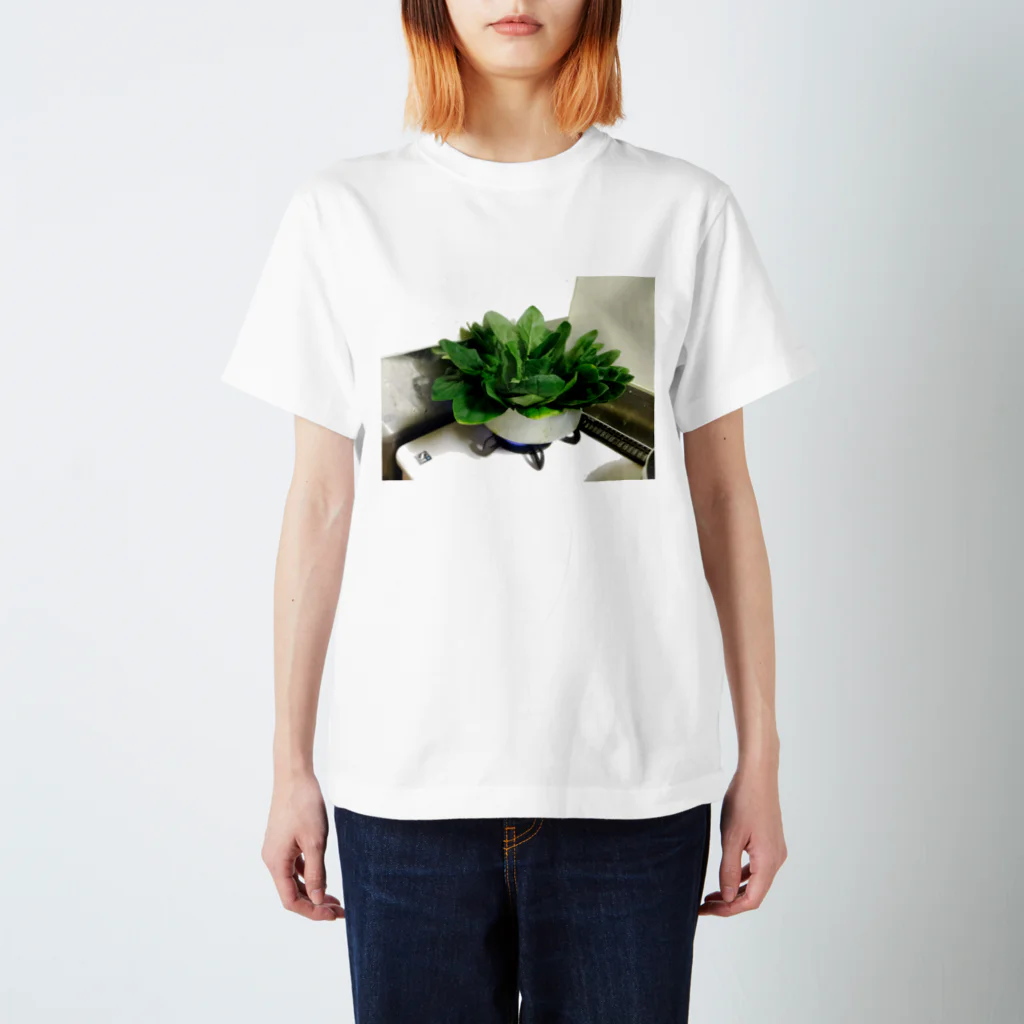 ざわっちの茹だるホウレンソウ スタンダードTシャツ