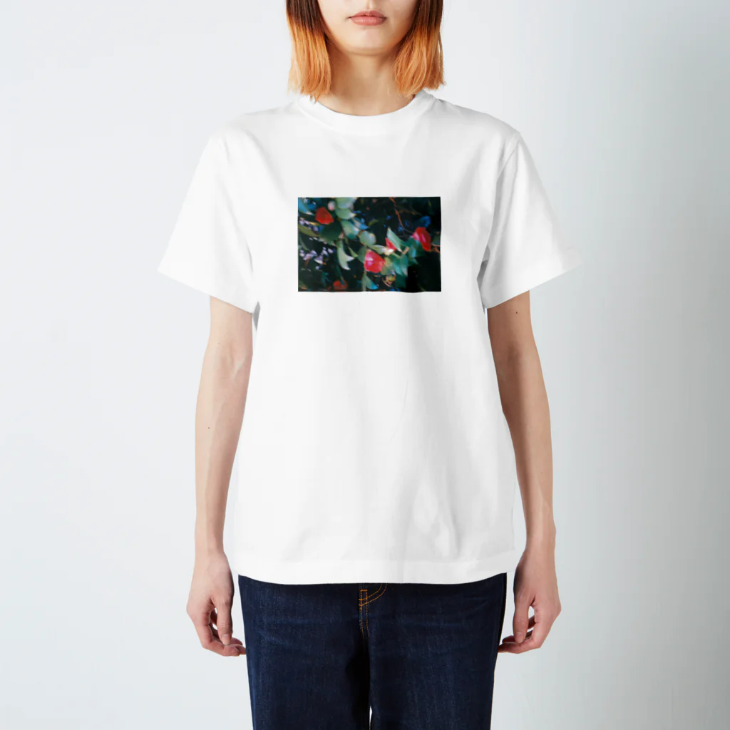 最終のあなたのことを知る為の服 スタンダードTシャツ