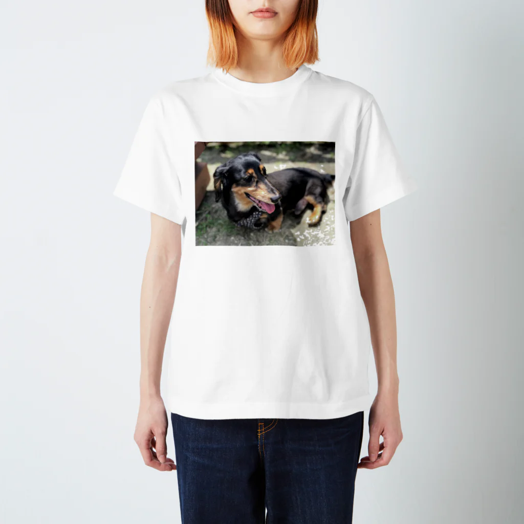 takummmmのりんちゃん Regular Fit T-Shirt