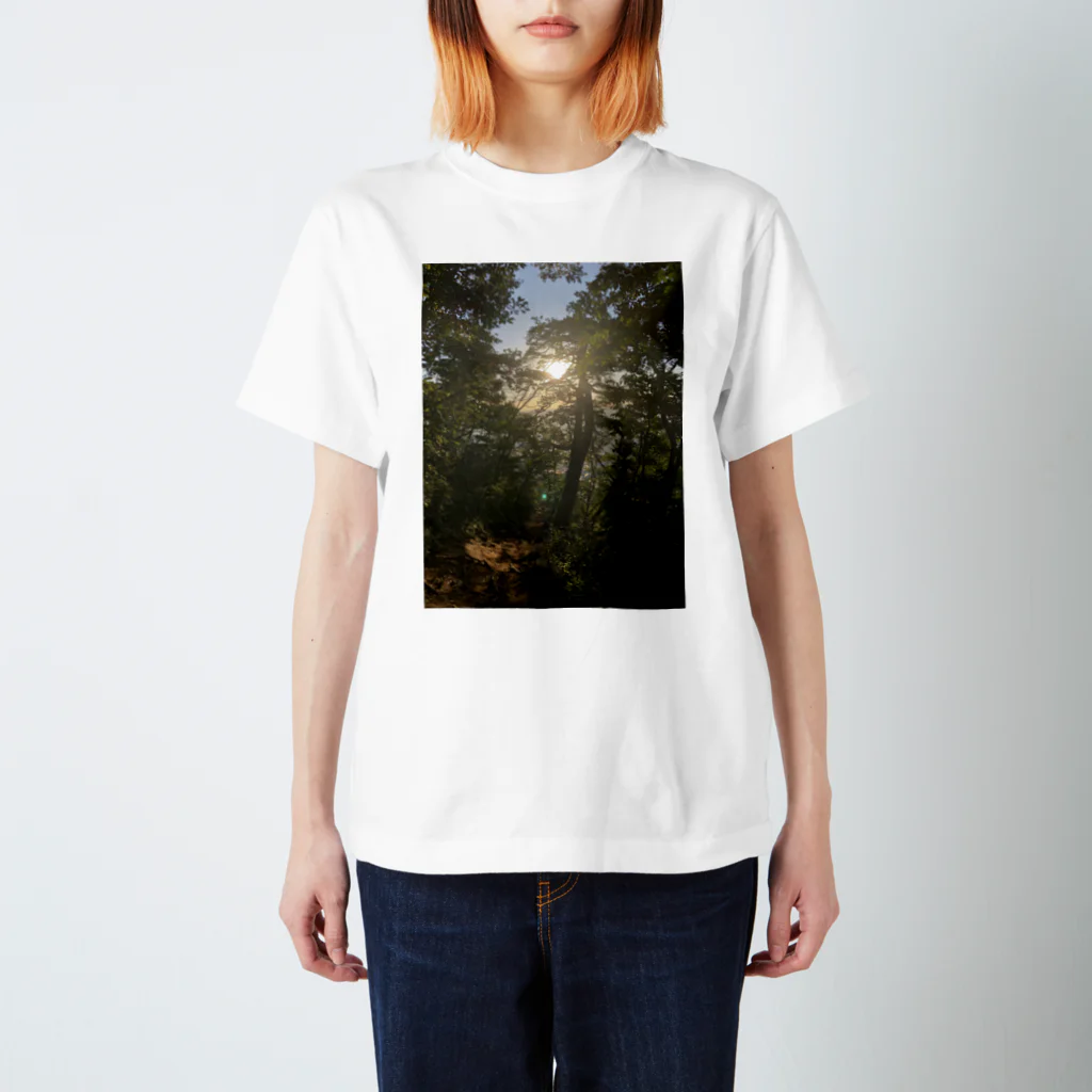 海谷 直樹のちょっと綺麗に撮れました君 スタンダードTシャツ