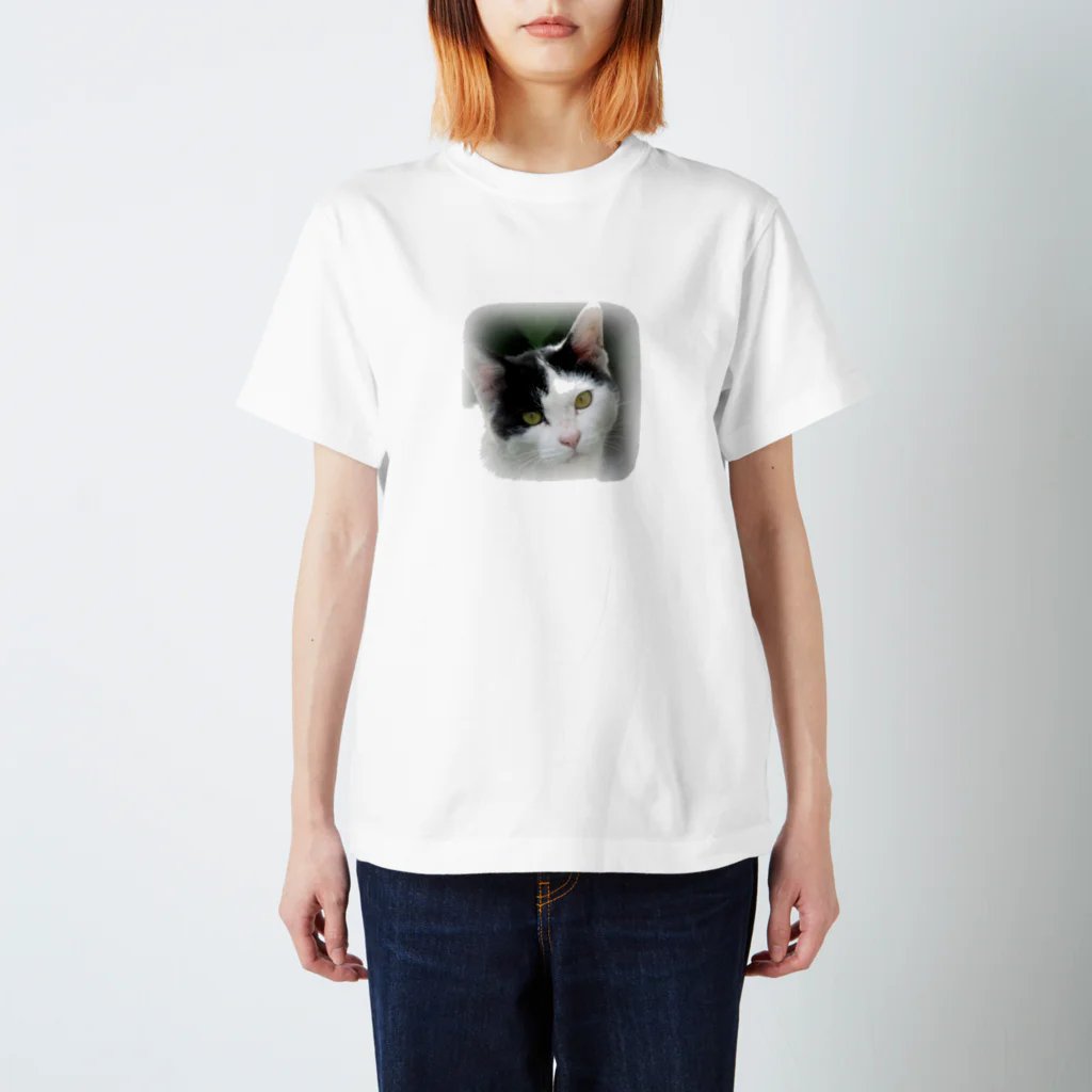 JikenShopのぶち猫「さつき」顔 スタンダードTシャツ
